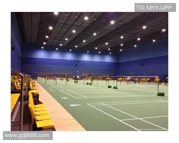 重庆羽毛球队运营模式解析与发展趋势探讨