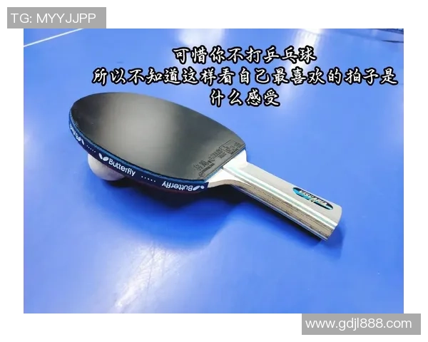 乒乓球装备选购指南球拍推荐与使用技巧分享